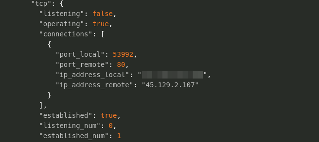Kinsing Malware and C2 Server Connection