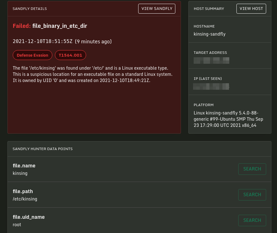 Kinsing Malware Binary in /etc Directory