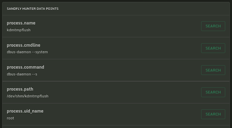 Sandfly shows real process name vs. masquerading values for BPFDoor
