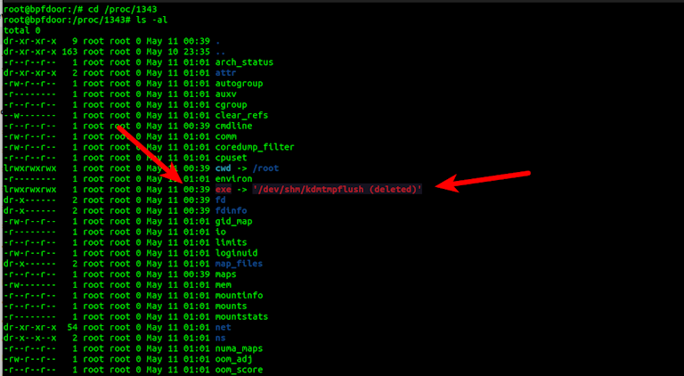 Using ls on /proc dir to investigate BPFDoor