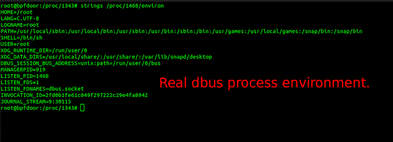 Real dbus process environment.