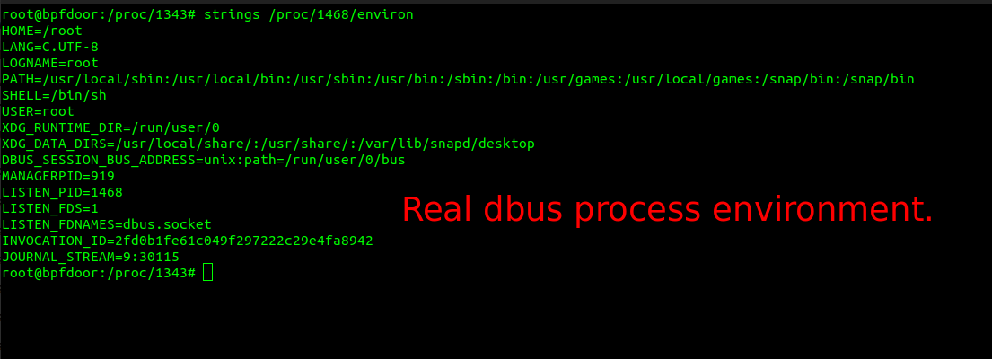 Real dbus process environment.