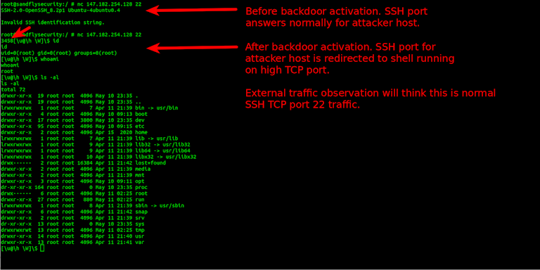 BPFDoor Backdoor Operation