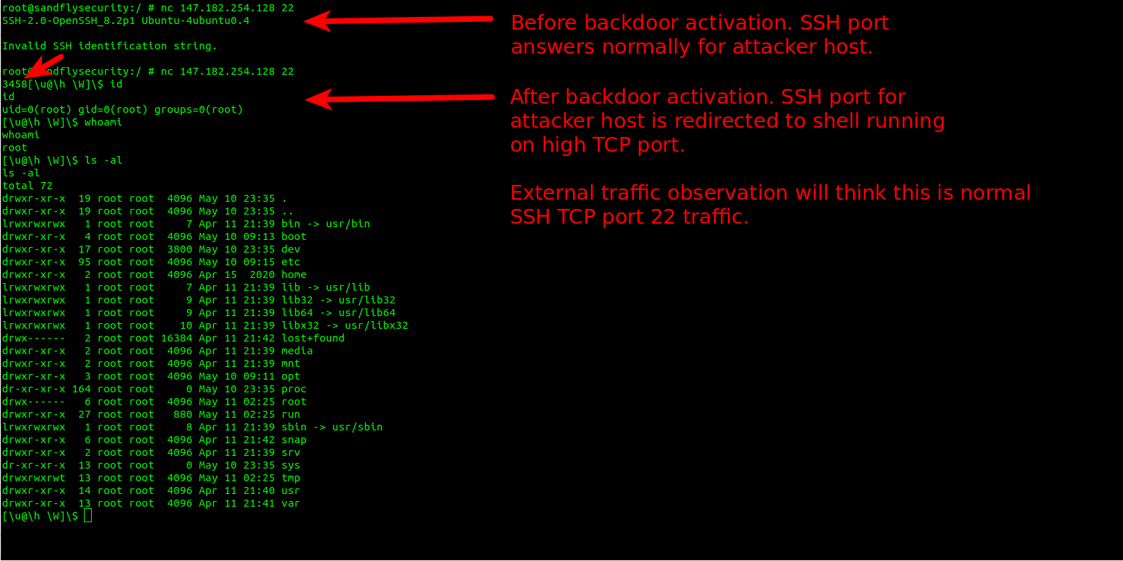 BPFDoor Backdoor Operation