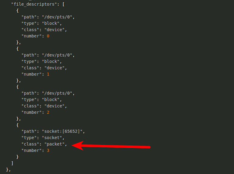 packet capture socket type detected with BPFDoor