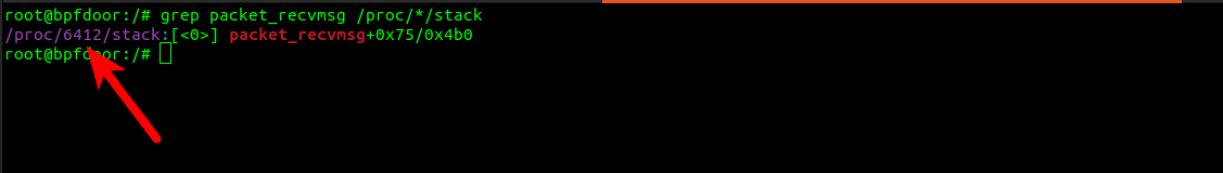 BPFDoor showing packet sniffing function name on Linux.