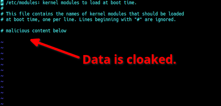 Stealth rootkit cloaked data invisible.