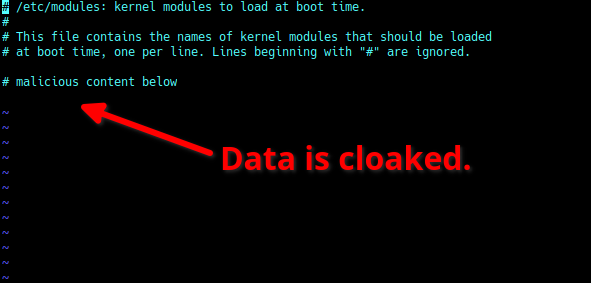 Stealth rootkit cloaked data invisible.
