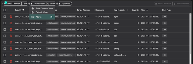 Accessing a custom filter UI view in Sandfly.