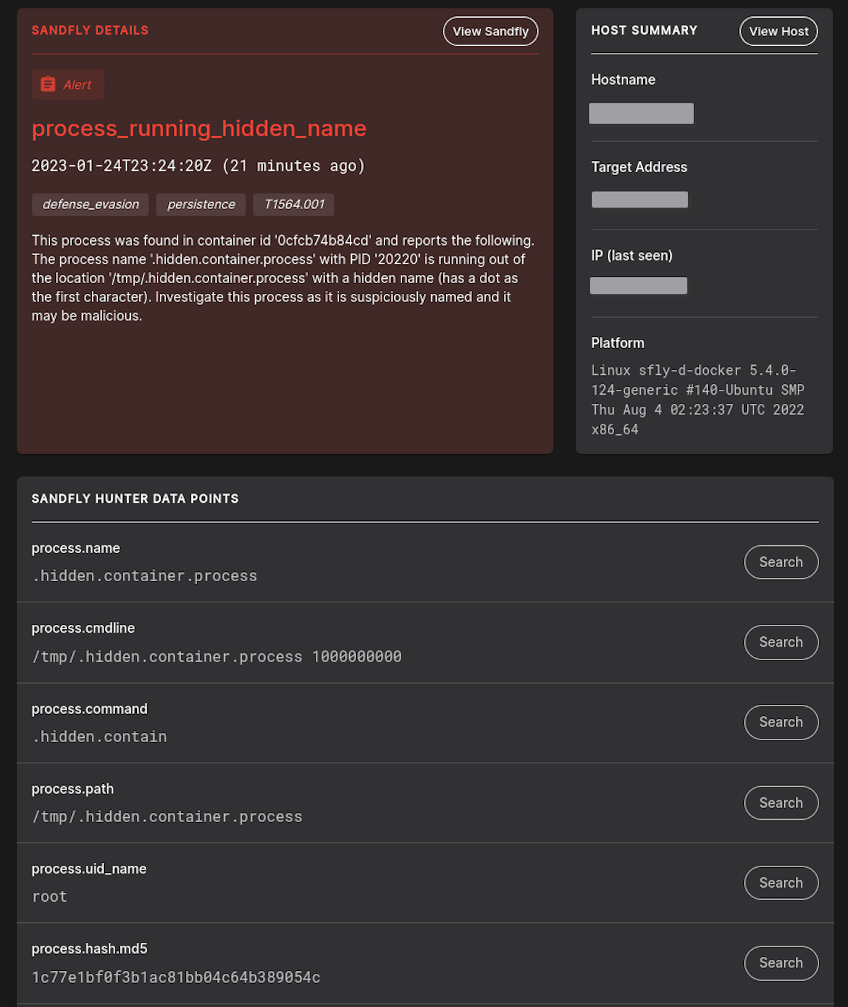 Sandfly detects container attack.