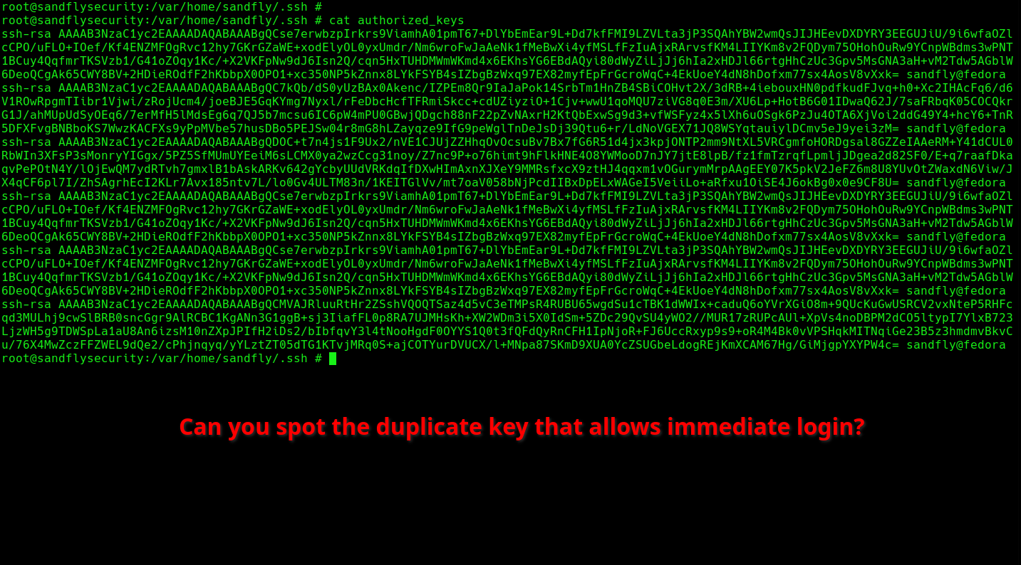 SSH Duplicate Key Allows Immediate Intruder Login