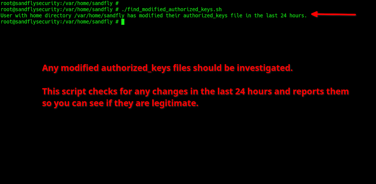 SSH authorized_keys file modified in the last 24 hours to investigate.