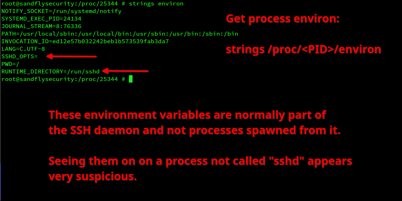 XZ SSH Backdoor Detection Strategies | Sandfly Security