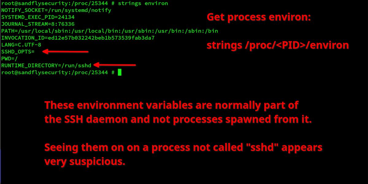 Suspicious environment from XZ door spawned process.