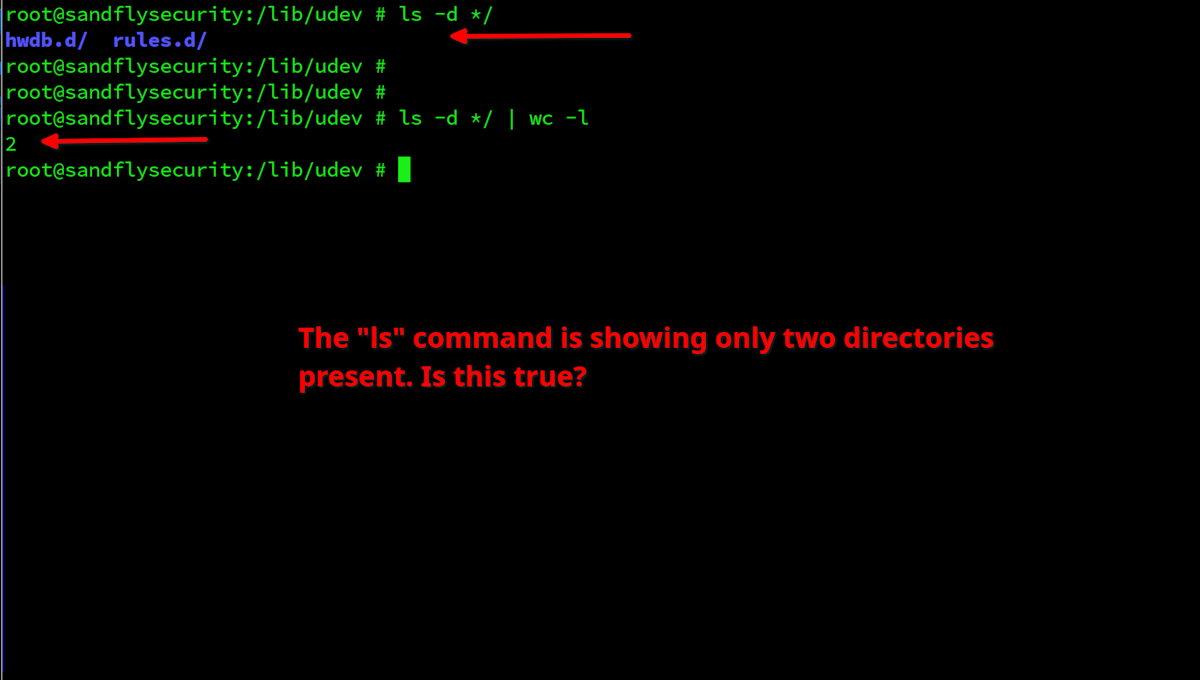 The ls command only shows two directories are here. Is that true?