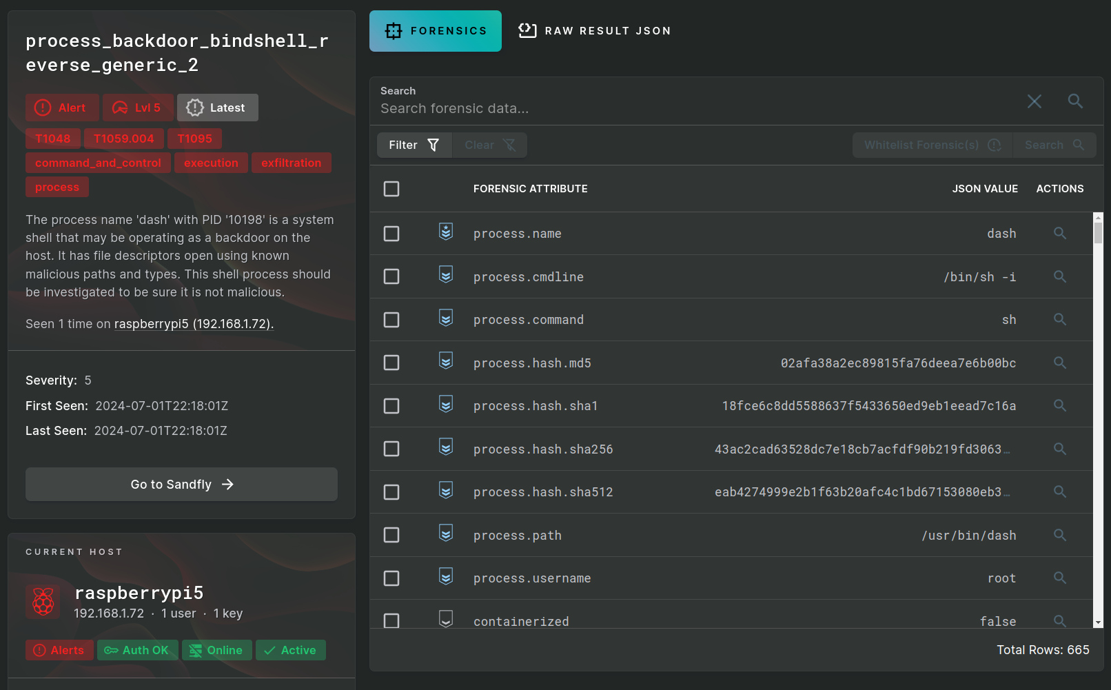 Suspicious interactive shell discovered on Linux.