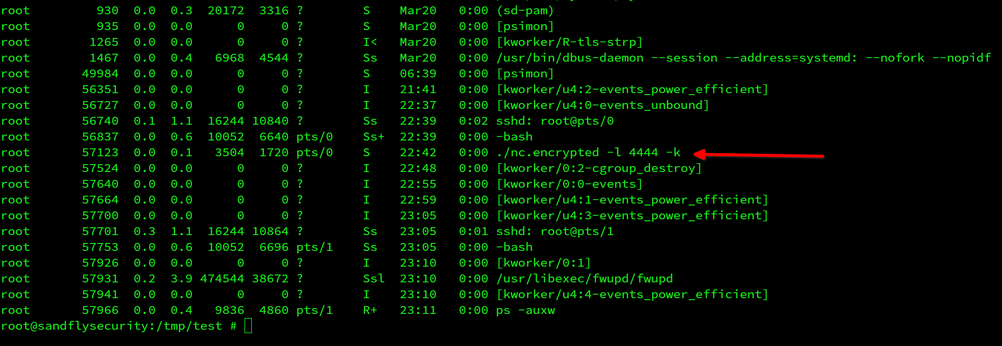 Encrypted netcat Binary Running