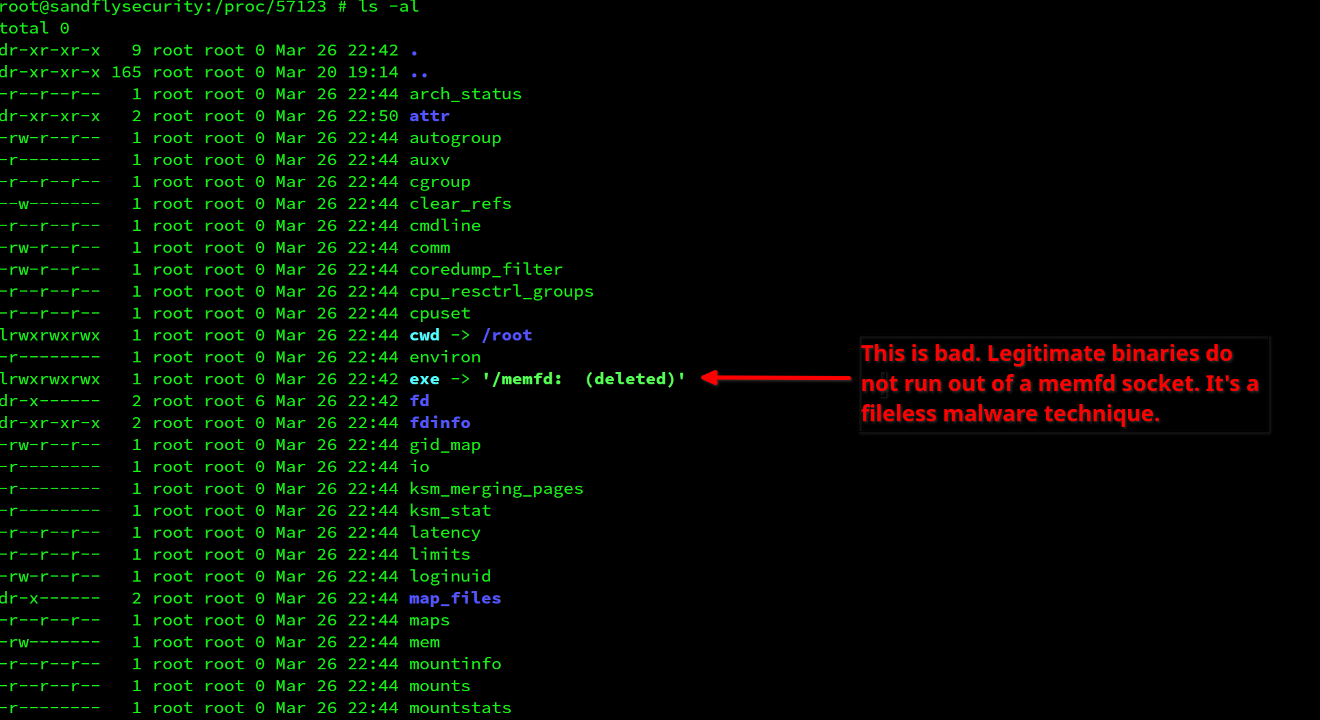 Suspicious executable link type pointing to memfd socket on Linux.