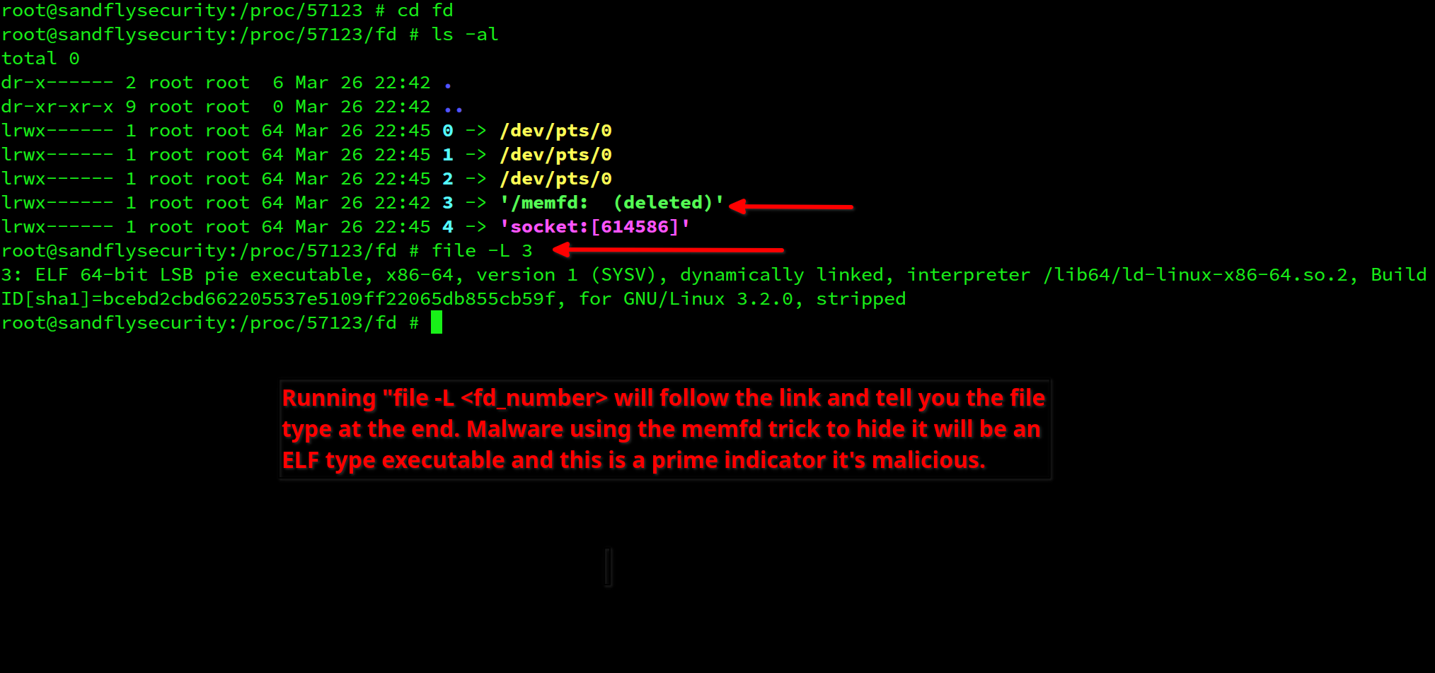 Fileless malware with suspicious memfd socket on Linux.