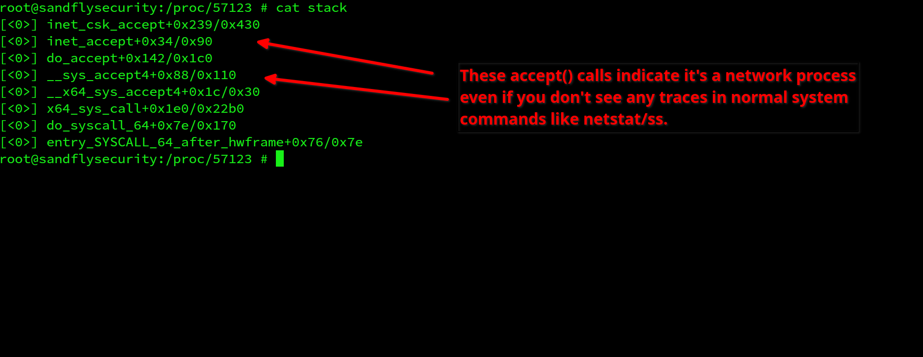 Backdoor with accept() system calls waiting for connection.
