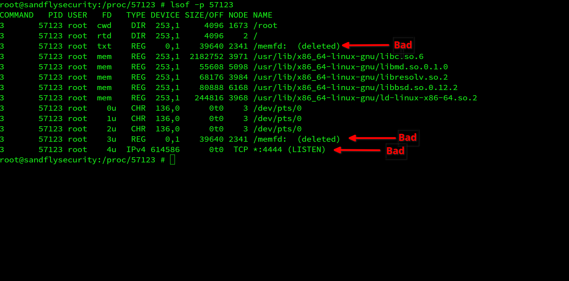 lsof -p PID shows other activity with the suspicious process.