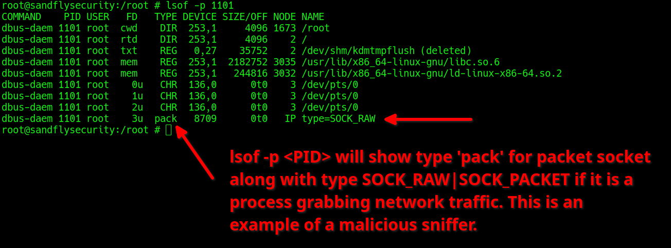 lsof -p <PID> to list a suspicious process.