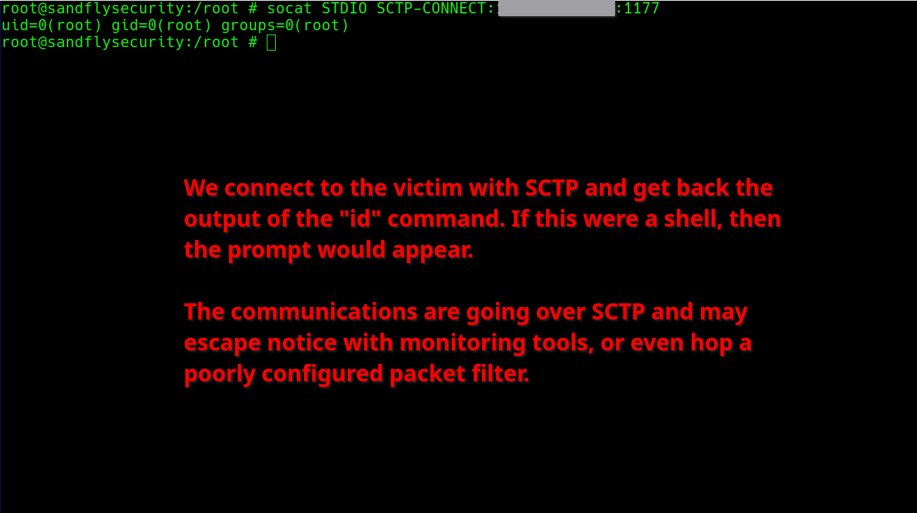 SCTP backdoor response on Linux.