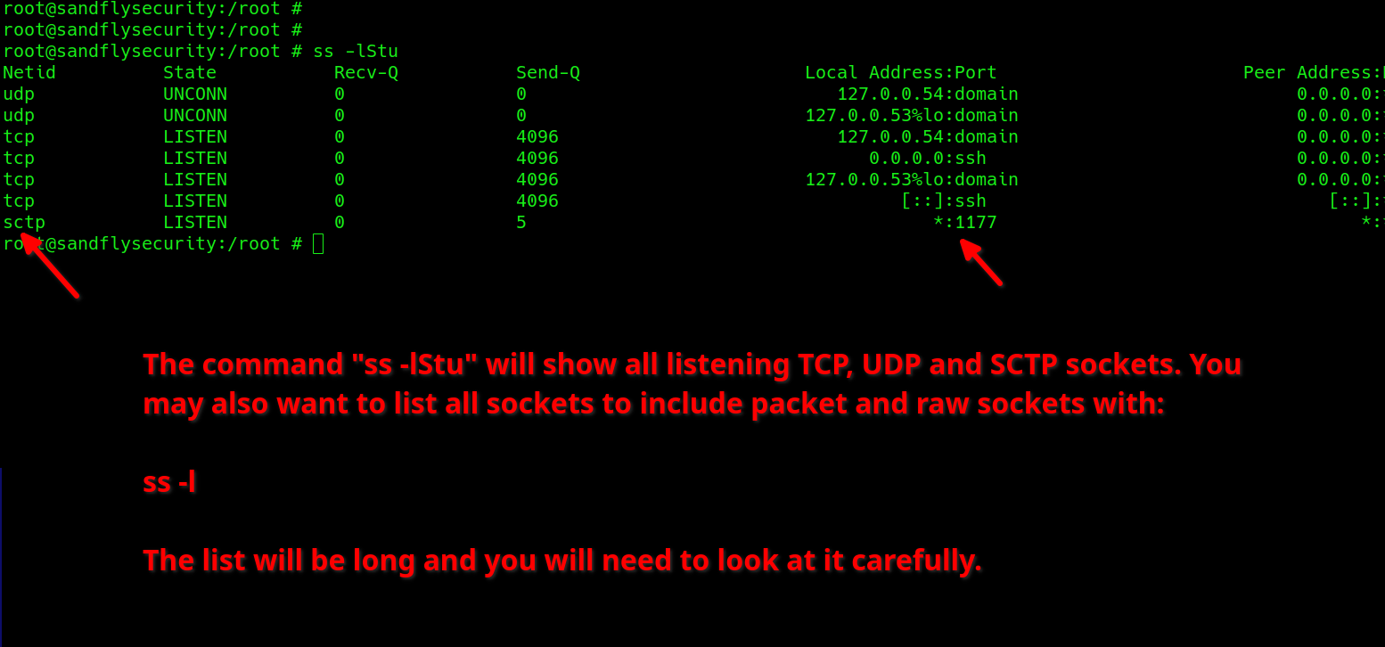 Finding SCTP listening sockets on Linux.