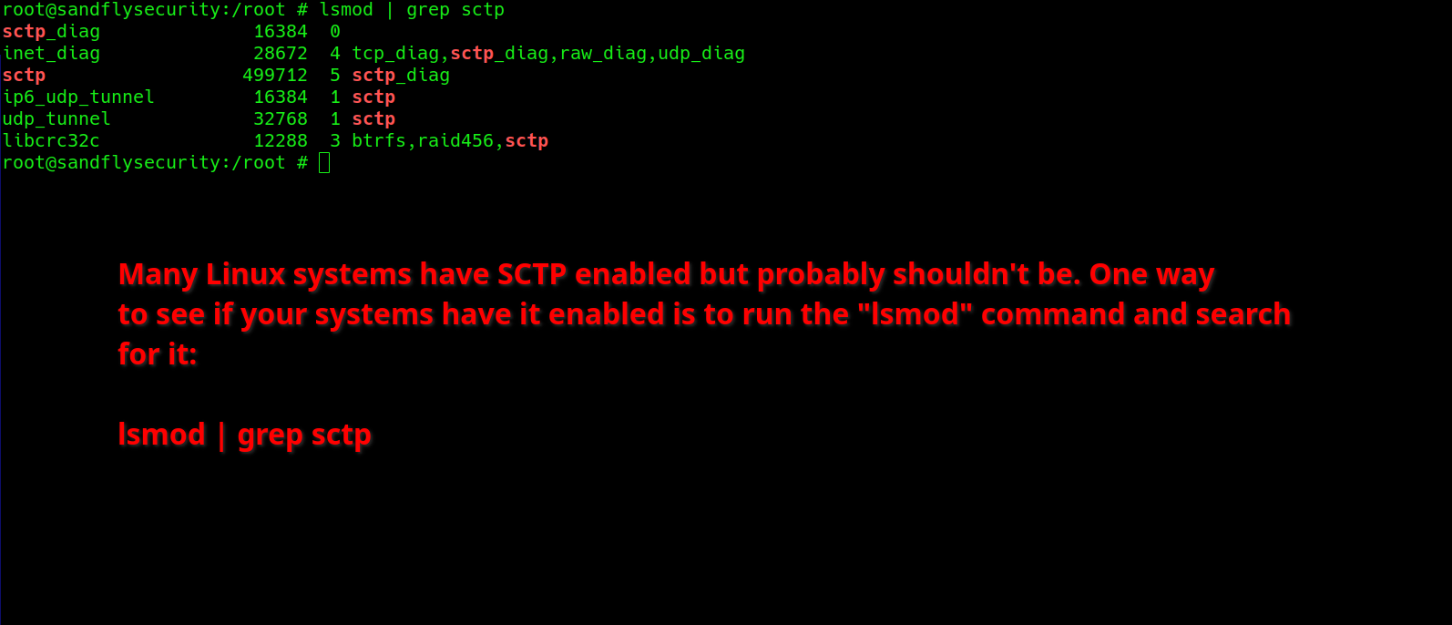 Using lsmod to see loaded SCTP protocol kernel modules.