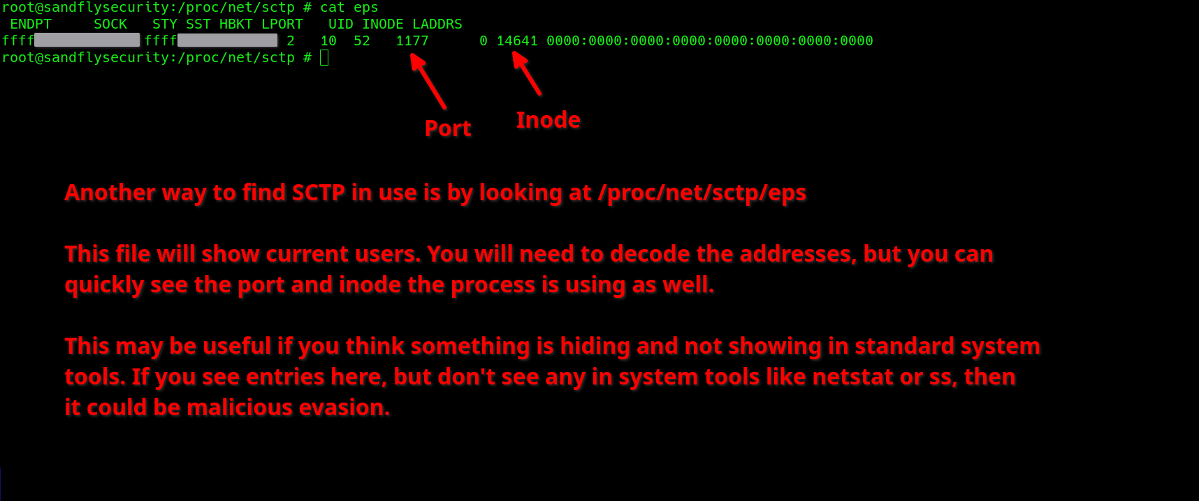/proc/net/sctp/eps shows all open SCTP sessions on a Linux host.