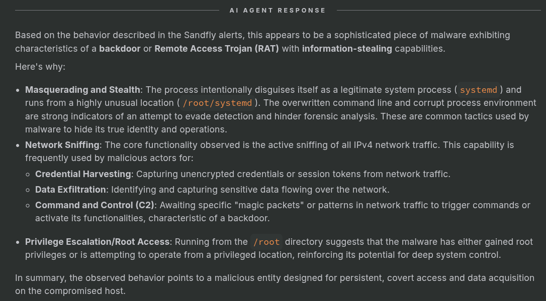 AI Analyst summarizes likely malware type.