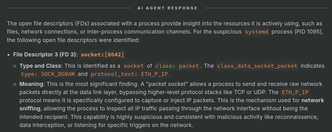 LLM Security analyst forensics deep dive answer about  Linux file descriptors.