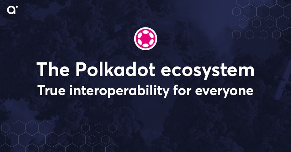 Polkadot ecosystem