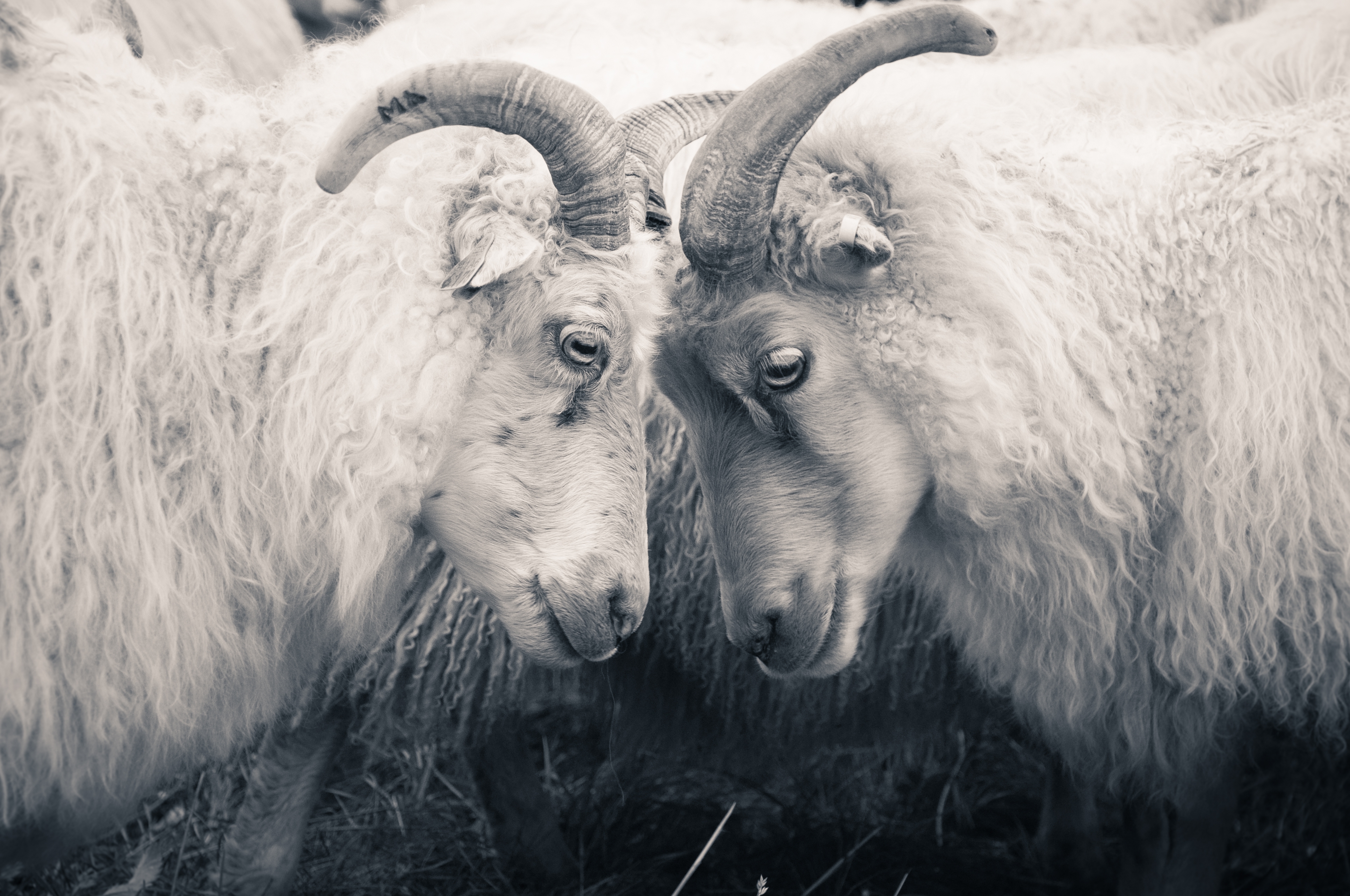 binance coinbase btc