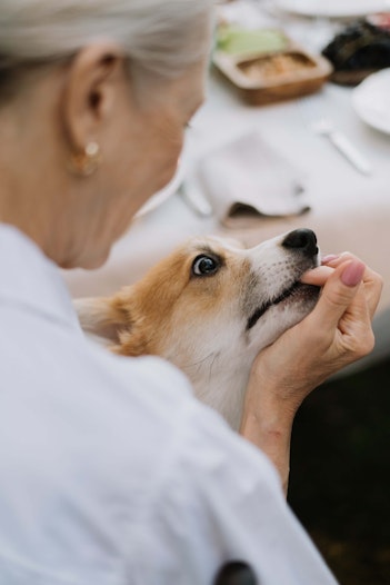 Dogecoin