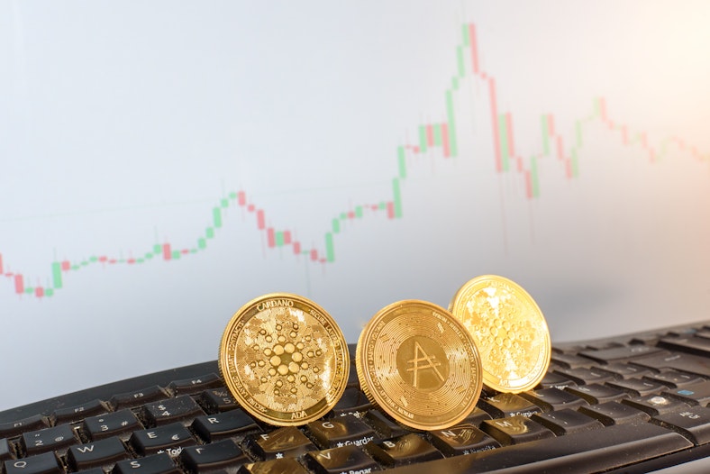 Cardano successen