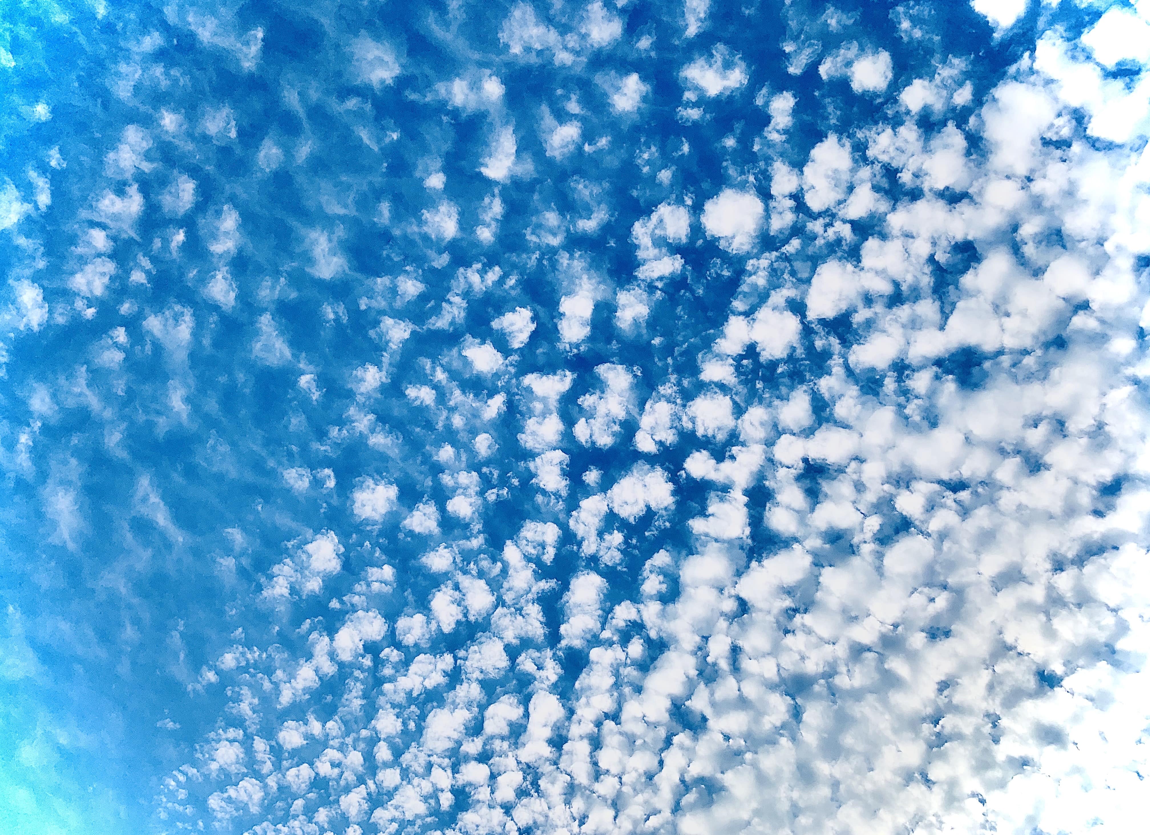 NEAR Google Cloud web 3.0