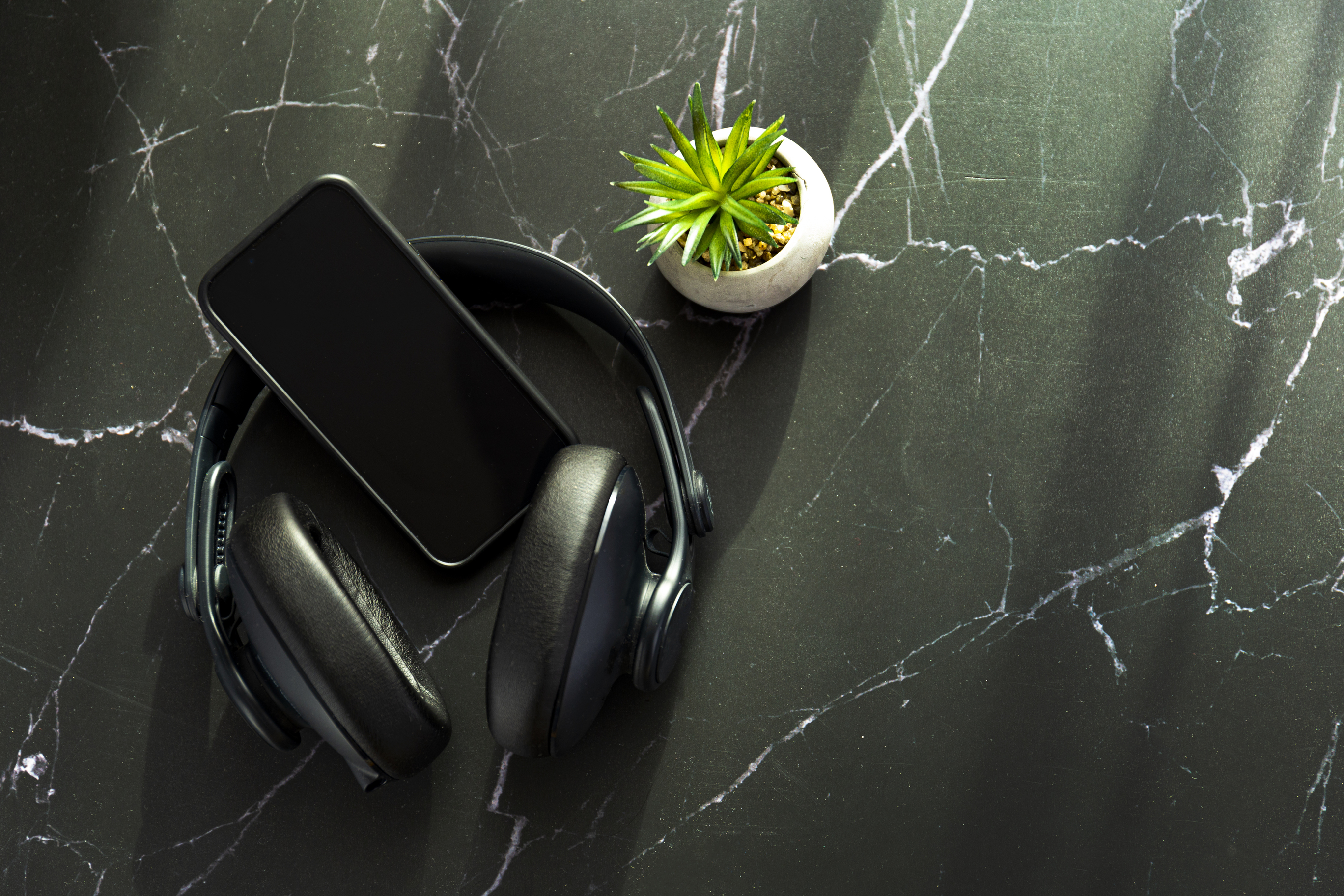 Polygon Warner Music