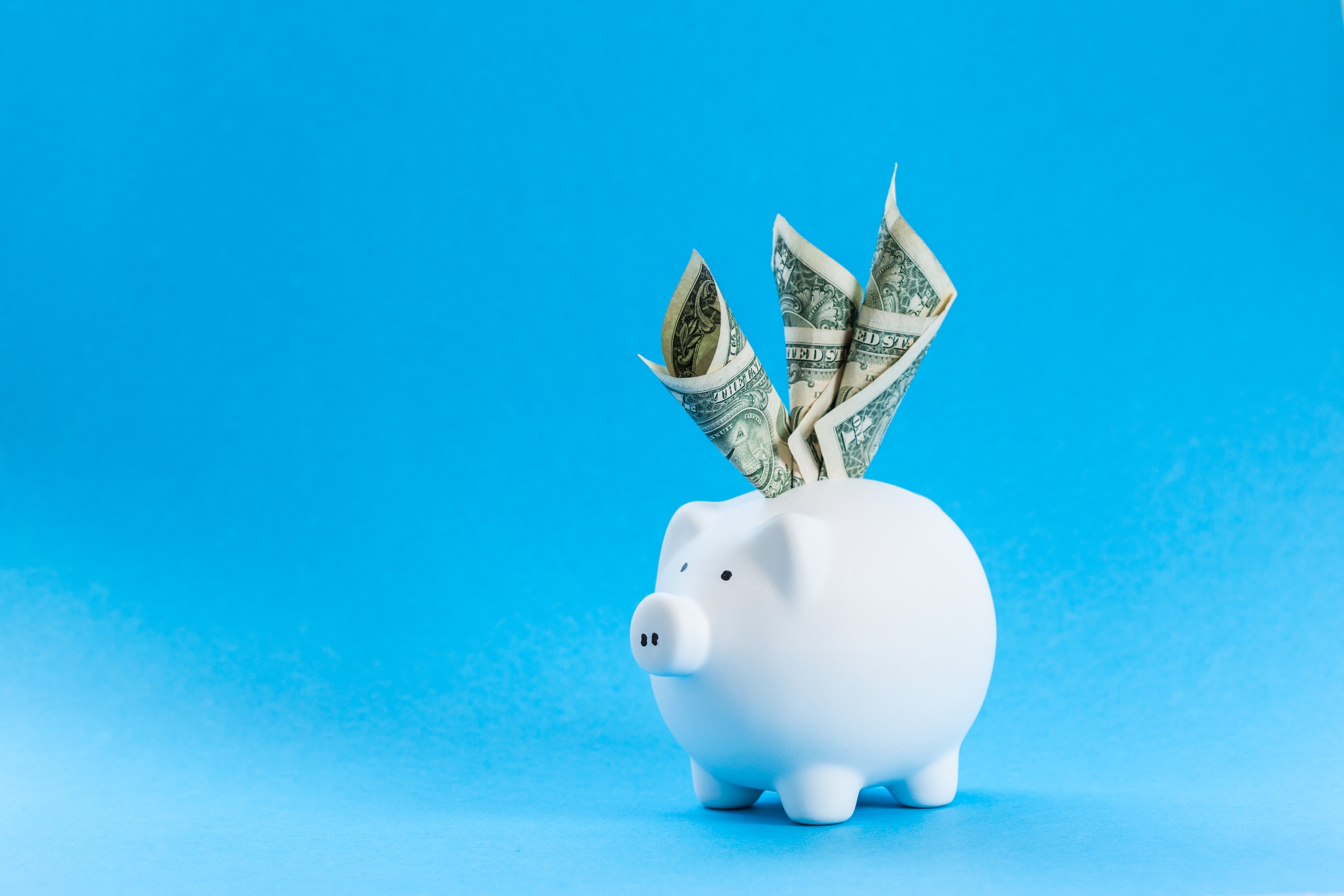 De Venom Foundation web3