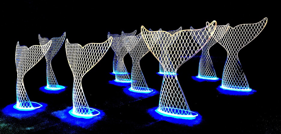 SHIB whale