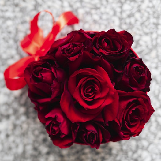 'Valentine'-software update van Cardano komt eraan