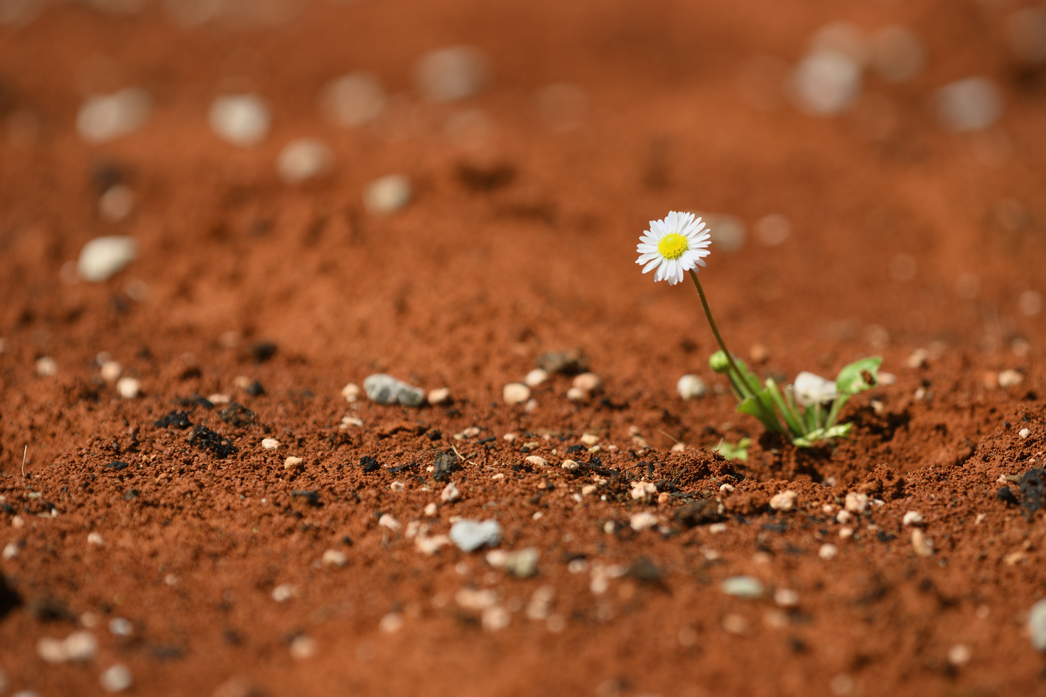 UBS neemt Credit Suisse over: Wat zijn de gevolgen voor crypto?