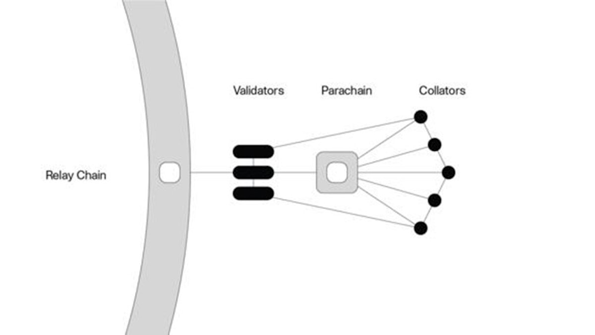 Polkadot Relay Chain
