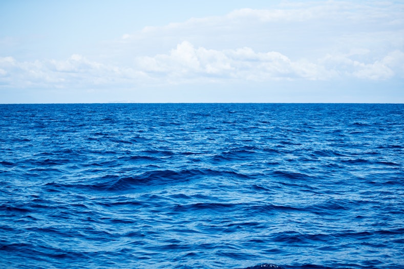 NFT Open sea
