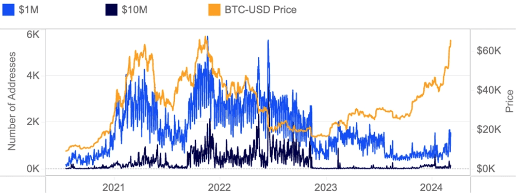 Er waren veel meer Bitcoin miljonairs in 2021