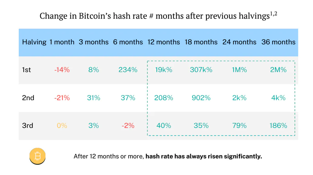 effect halving hash rate