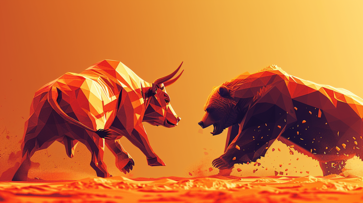 Toro vs oso