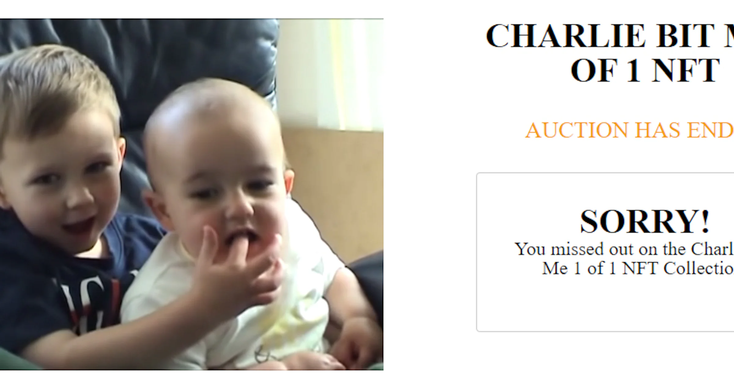 Charlie bit my finger-video verdwijnt van YouTube na veiling als NFT