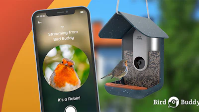Bird Buddy: Slim vogelhuisje spot gevederde vrienden